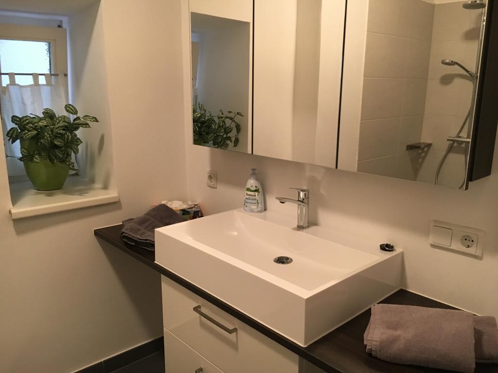 Apartment Enzinger Bruck an der Mur Bagian luar foto